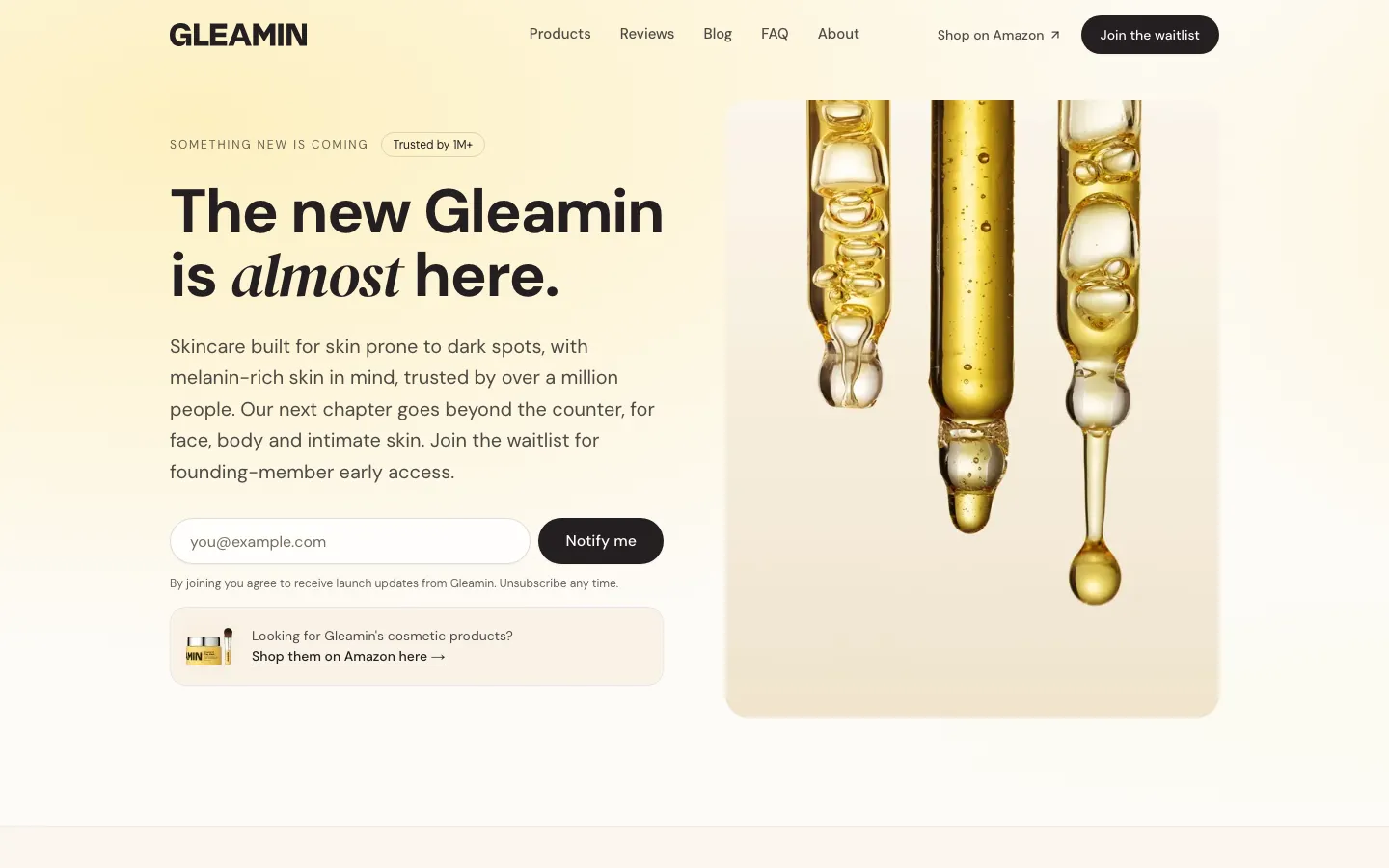 Homepage of Gleamin on desktop
